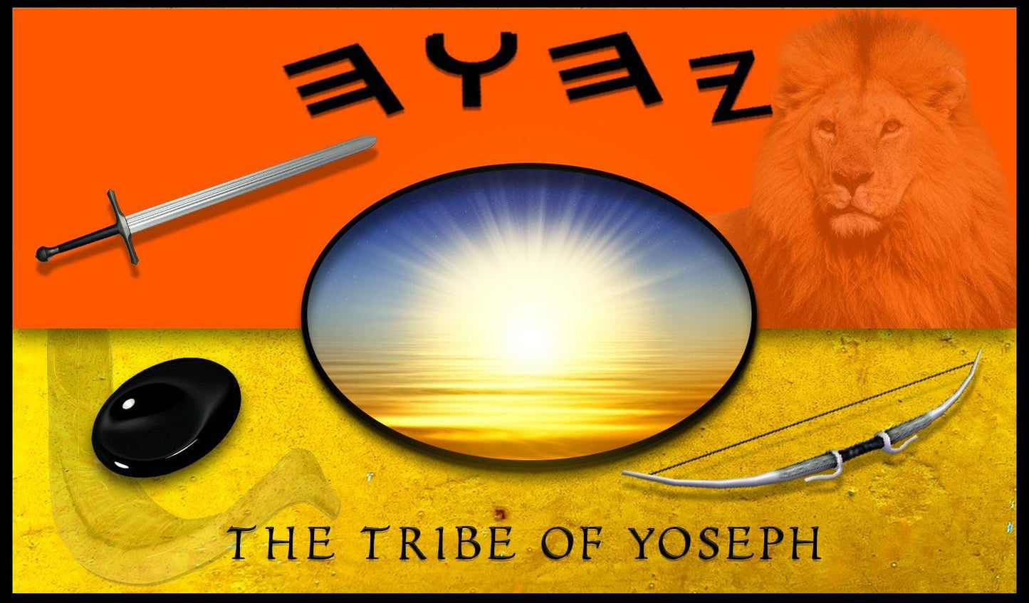 Tribe of Yoseph Flag image 1