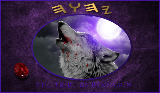 Tribe of Benyamin Flag image 1