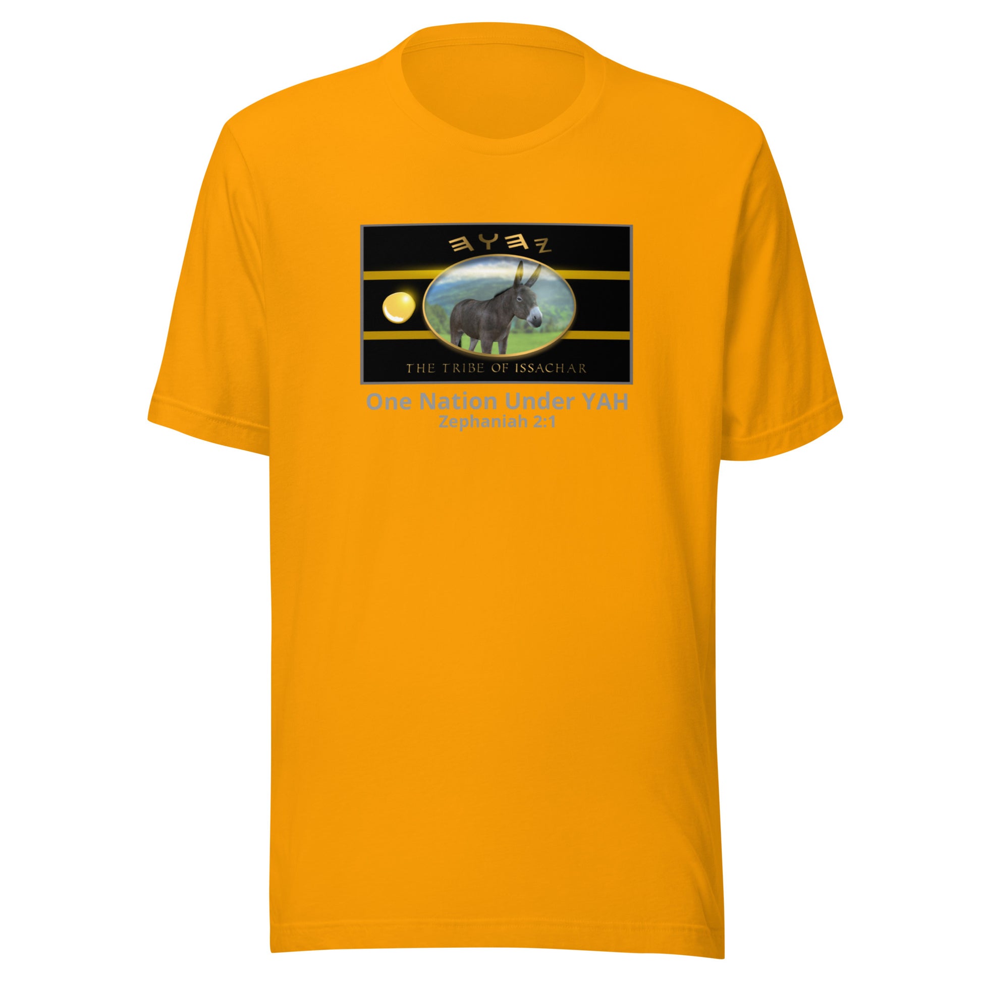 Nation T-shirt Issachar image 8